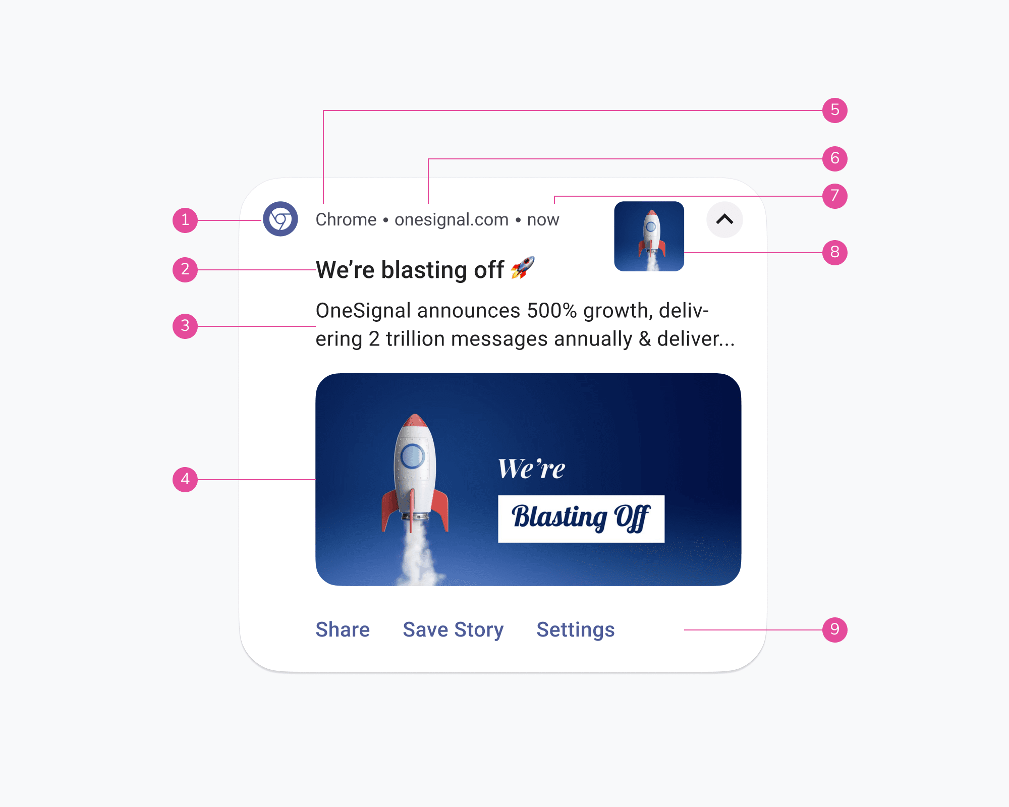 The Design and Anatomy of Push Notifications Across Devices